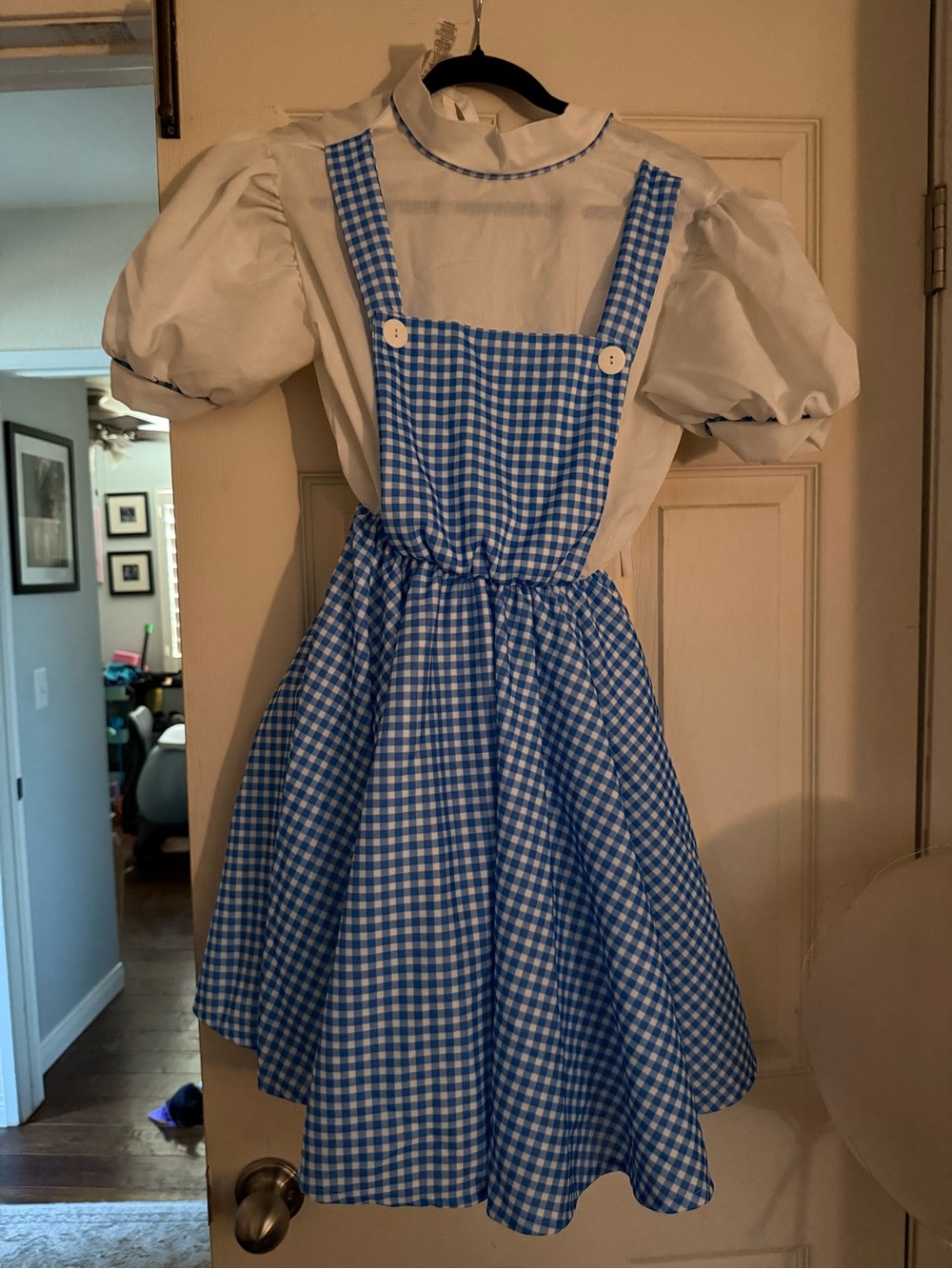 Rubie's Dorothy Costume, Wizard of Oz: Blue Gingham Pinafore Dress
